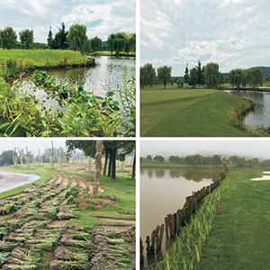 高爾夫球場(chǎng)景觀(guān)水系治...