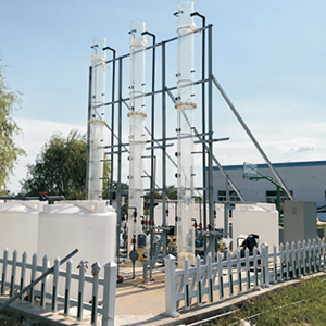 國(guó)家水專(zhuān)項(xiàng)尾水處理項(xiàng)...